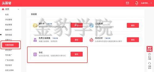 如何头条上申请付费专栏,如何在今日头条申请开通付费专栏