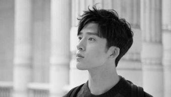 男明星背后,揭秘男明星背后的奋斗历程与辉煌成就