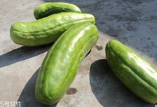 怎么吃小瓜,解锁美味新境界