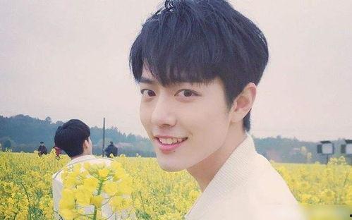 肖战说吃瓜,揭秘娱乐圈吃瓜背后的真相