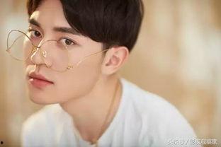 明星有张瑞,闪耀娱乐圈的璀璨明星