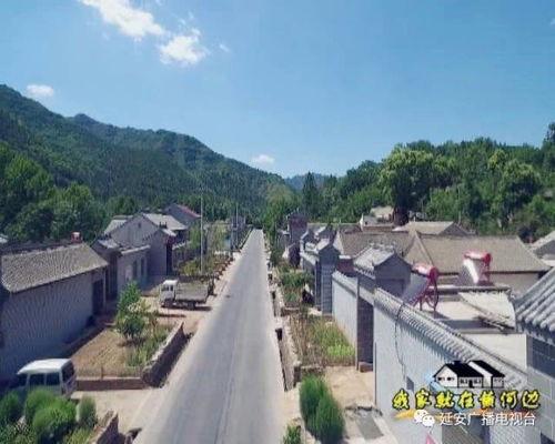 东营草滩镇新闻头条,聚焦乡村振兴新篇章