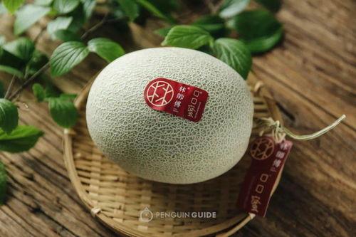 六芒星老师有什么瓜,那些不为人知的瓜与真相