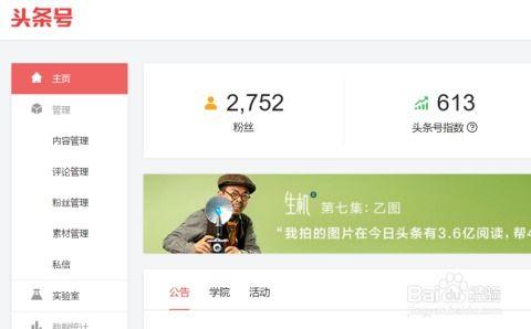 今日头条怎么做推广,高效吸粉，精准触达目标用户