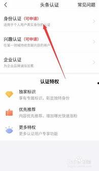 头条身份认证怎么写文章,轻松掌握文章发布技巧，提升内容质量与传播力