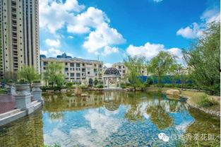 西太湖明星,璀璨星河中的璀璨明珠