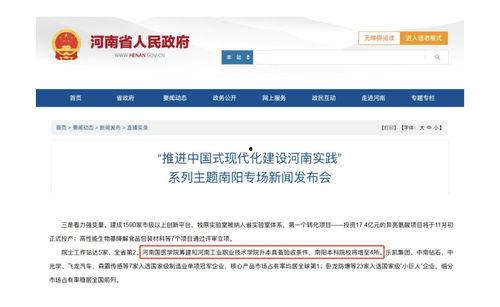 南阳今日头条怎么摆摊,揭秘热门摆摊攻略，轻松开启创业之路