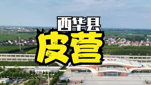 周口头条,聚焦本土热点，解码城市脉搏