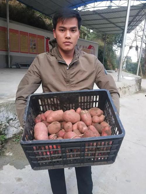 微头条土豆的回忆,那些年我们一起走过的岁月