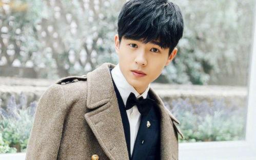 男明星九选三,盘点九大男明星，揭秘他们如何成为粉丝心中的偶像