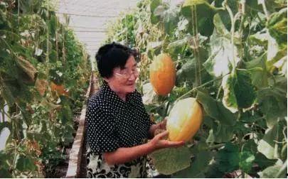 每日吃瓜今日大瓜91,揭秘今日大瓜91背后的惊人真相