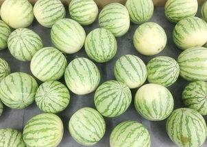 豆瓣安静吃瓜,安静吃瓜，揭秘网络舆论背后的真相