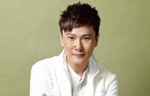 50岁以上的男明星,盘点50岁以上魅力男星风采依旧