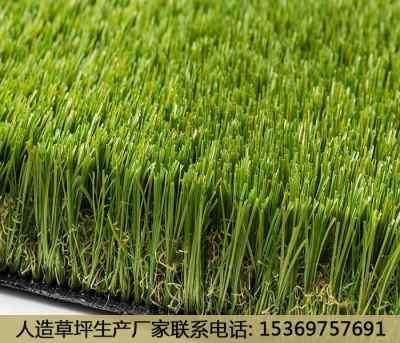 吉安农田种草皮新闻头条