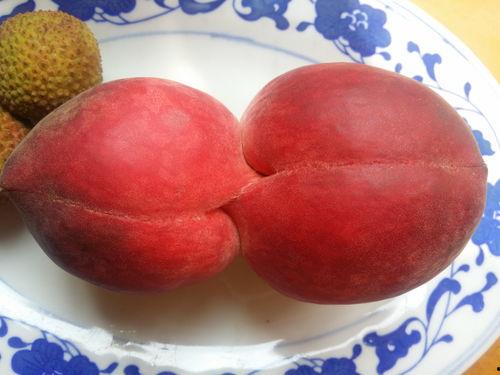 网红仙桃桃资源,探寻桃界新宠