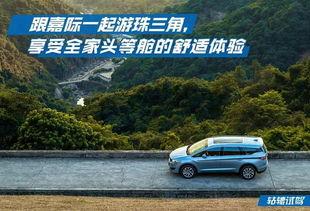 网红开平哥,网红背后的创业传奇与生活态度