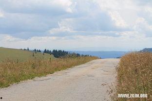 梦见地里找瓜吃,探寻地里瓜果的秘密之旅