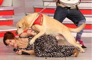 乳头被添的明星,揭秘乳头被添的明星瞬间