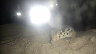 探洞视频的爆料人有哪些