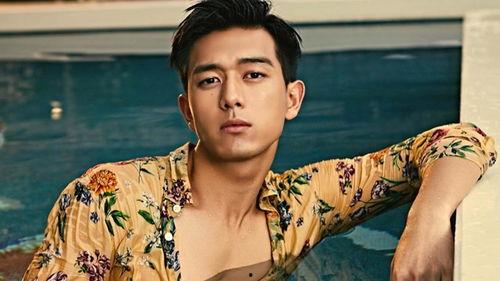 李什么迪明星,璀璨星途，砥砺前行