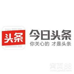 广州南屏今日头条,聚焦社区发展新动态