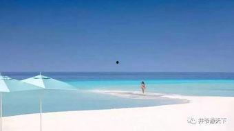 香港潜水明星,探寻香港潜水明星的海洋传奇